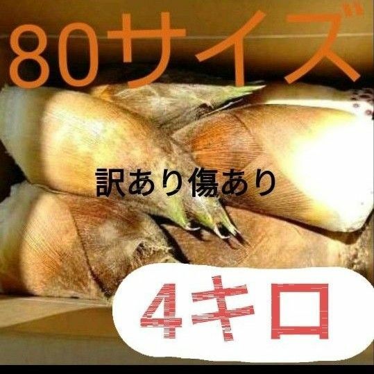 訳あり　傷あり　竹の子　たけのこ　筍　タケノコ　無農薬野菜　やさい　朝採　