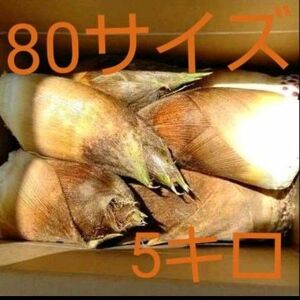 たけのこ　竹の子　筍　タケノコ　無農薬野菜　やさい　無農薬　訳あり　傷あり　つめあわせ