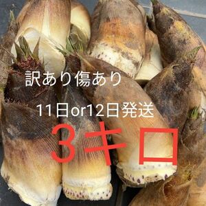 たけのこ　訳あり　3キロ　タケノコ　筍　竹の子　傷あり　無農薬　 朝採 新鮮 美味しい