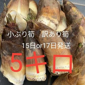 朝採 ぬか付 やわらかい 筍 天然物 美味しい タケノコ 新鮮　たけのこ　無農薬野菜　やさい