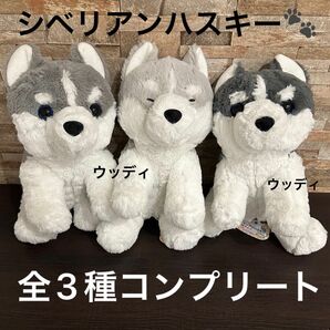 くったり シベリアンハスキーの赤ちゃん　ぬいぐるみ　全3種コンプリートセット