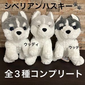 くったり シベリアンハスキーの赤ちゃん　ぬいぐるみ　全3種コンプリートセット