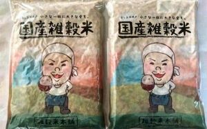 ■国産雑穀米 栄養満点23穀米(1袋450g)×2袋set
