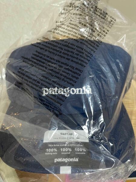 patagonia trad cap