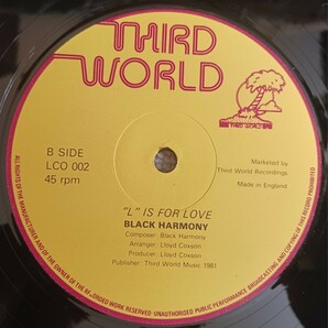 BLACK HARMONY『WHAT'S IT'S ALL ABOUT / L IS FOR LOVE』12インチシングルレコード / THIRD WORLD / LOVERS ROCK / ラヴァーズ・ロックの画像3