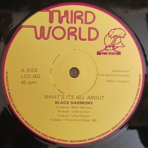 BLACK HARMONY『WHAT'S IT'S ALL ABOUT / L IS FOR LOVE』12インチシングルレコード / THIRD WORLD / LOVERS ROCK / ラヴァーズ・ロック