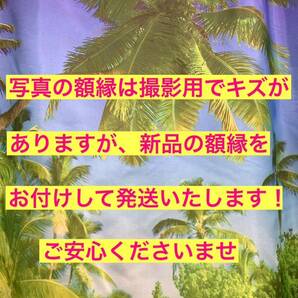 額装品★水谷麻里③①★3rdシングル【乙女日和】の発売広告とファンクラブ入会案内★当時印刷物★色紙サイズ★額入り★春が来た★送料込みの画像3