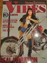 VIBES　バイブズ 　1995年 3月 vol.17　秋乃こずえ_画像1