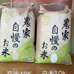 山形県産令和5年度ひとめぼれ