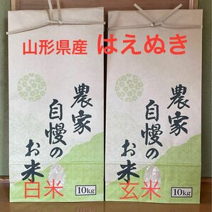 令和5年度山形県産はえぬきになります