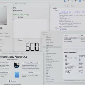 nVIDIA Quadro K420 GDDR3 1GB 4K@60Hz・Metal対応 ベースクロック876MHz 2009-2012MacPro 最新macOS Sonoma14.4.1まで対応 の画像5