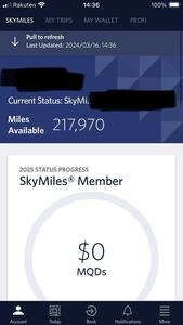 【口座譲渡】デルタ航空 スカイマイル DELTA SKYMILES 口座217970マイル