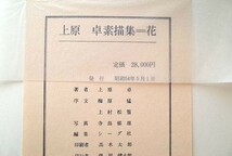 41658/上原卓 素描集 花 京都書院 1979年 定価2万8千円 梅原猛 上村松篁 序文 寺島郁雄 写真 大型本 昭和の日本画家 素描画集_画像6