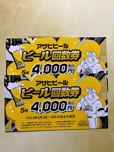 ☆2024年版ソフトバンクホークス☆福岡paypayドームアサヒビール回数券　10杯分　4/22