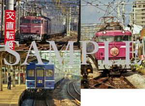 F【鉄道写真】Ｌ版３枚　EF81　ED76　寝台特急　さくら　はやぶさ