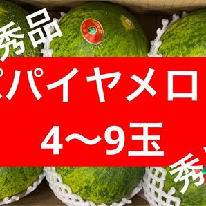 今月サービス品　パパイヤメロン　4-9玉