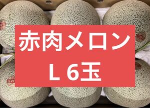 赤肉メロン　L 6玉