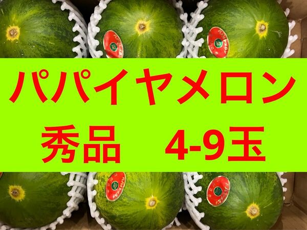 秀品　パパイヤメロン　4-9玉