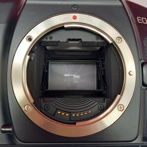 ■ Canon EOS-1N フィルム一眼レフカメラ ボディ 動作未確認 現状品 BATTERY PACK BP-E1 キャノンの画像8