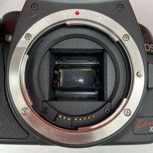 □ 防湿庫保管品 Canon EOS Kiss X3 デジタル一眼レフカメラ ボディ EF-S 18-55mm F3.5-5.6 IS レンズ 動作確認済 バッテリー キャノンの画像8
