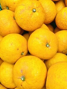 1 jpy start!! Ehime prefecture production sun fruit ( new . summer )10kg. home use.