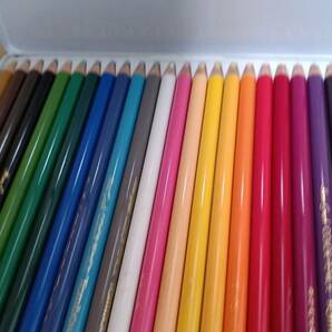 色鉛筆 24色  とんぼ鉛筆  うちのタマ知りませんか?  未使用    の画像2