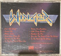 イン・ザ・ハート・オブ・ザ・ヤング ウィンガー WINGER_画像2