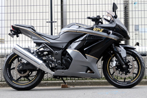 チャンス到来■ NINJA250R ■ カスタム一点物 ■美車■EX250K■ニンジャ■_画像2