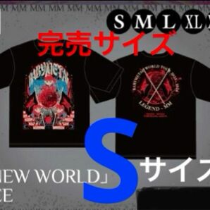 【新品・未開封】BABYMETAL 横浜公演　MOMOMETAL生誕祭「NEW WORLD」TEE 完売Sサイズ