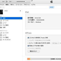 第5.5世代 iPod classic 80GB →240GB mSATA SSD 新品850mAhバッテリー MA450J 黒_画像6