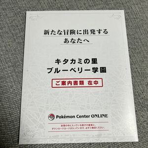 ポケモン　スカーレットバイオレット　ゼロの秘宝(Switch追加用コンテンツ)