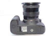 【1円スタート！】美品 EOS 6D ボディ Canon キヤノン デジタル一眼　カメラ　おまけレンズ　箱つき_画像6