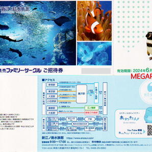 即決即送☆新江ノ島水族館 入館招待券（2024年6月30日迄）の画像1