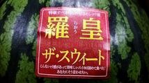 【送料無料◎1スタ!】熊本県産 植木スイカ 羅皇ザ・スウィート 1玉約7~8kg 2玉入り 家庭用_画像2