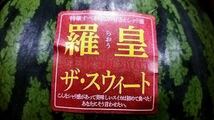 【送料無料◎1スタ!!】熊本県産 植木スイカ 羅皇ザ・スウィート 1玉約7~8kg 2玉入り 家庭用_画像2