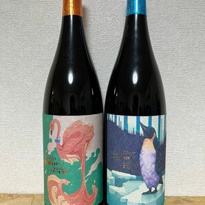 No.17 焼酎2本セット フラミンゴオレンジ、クールミントグリーン 1800ml