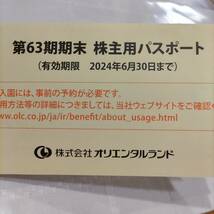 【送料無料】東京ディズニー リゾート チケット パスポート 1枚 オリエンタルランド_画像3