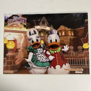 ディズニーハロウィン2007 東京ディズニーランド フォトファン 写真 ドナルド デイジー