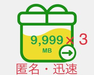 mineo マイネオ パケットギフト 約30GB 約30000MB (9999×3 MB) 匿名