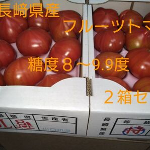 長﨑県産「フルーツトマト」糖度８―9.9度。２箱セット