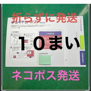 １０枚セットゆうパケットmini専用封筒（フタの部分だけ折り曲げ)