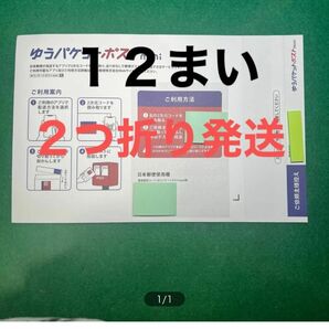 １２枚セットゆうパケットminiの専用封筒（2つ折り発送)