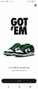 Nike SB Dunk Low Pro "Black and Classic Green"　 ダンク　27cm