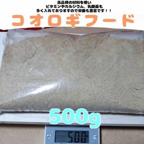 特製高品質コオロギフード【500g】高品質で栄養豊富
