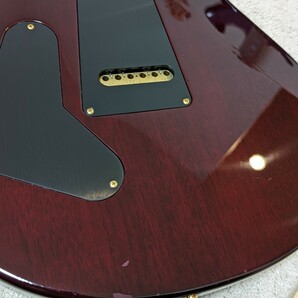 Paul Reed Smith（PRS） Custom24 10topの画像7