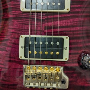 Paul Reed Smith（PRS） Custom24 10topの画像8