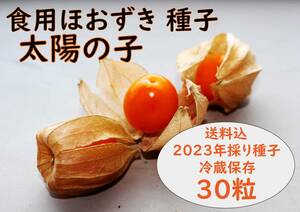 食用ほおずき「太陽の子」種子30粒 ワンコイン500円 a