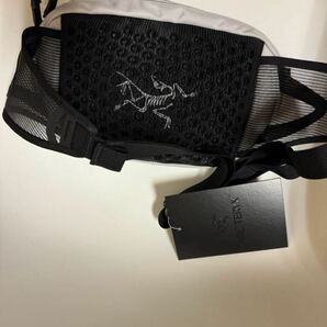 新品 ARC'TERYX (アークテリクス) Arro Waist Pack バッグ BAGの画像2