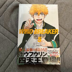 ＷＩＮＤ　ＢＲＥＡＫＥＲ　５ （講談社コミックス　週刊少年マガジン） にいさとる／著