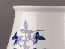 中国古玩 唐物 染付 青華 大清雍正年製 款 花瓶 時代物 極上品 初だし品 C5353_画像6
